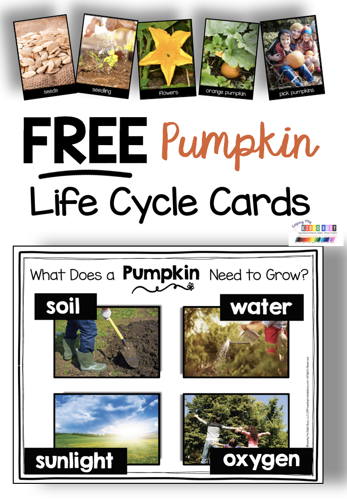 Free Pumpkin Life Cycle Cards